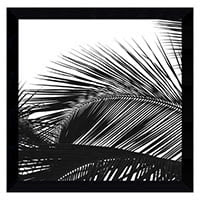 Palms 13 framed wall art