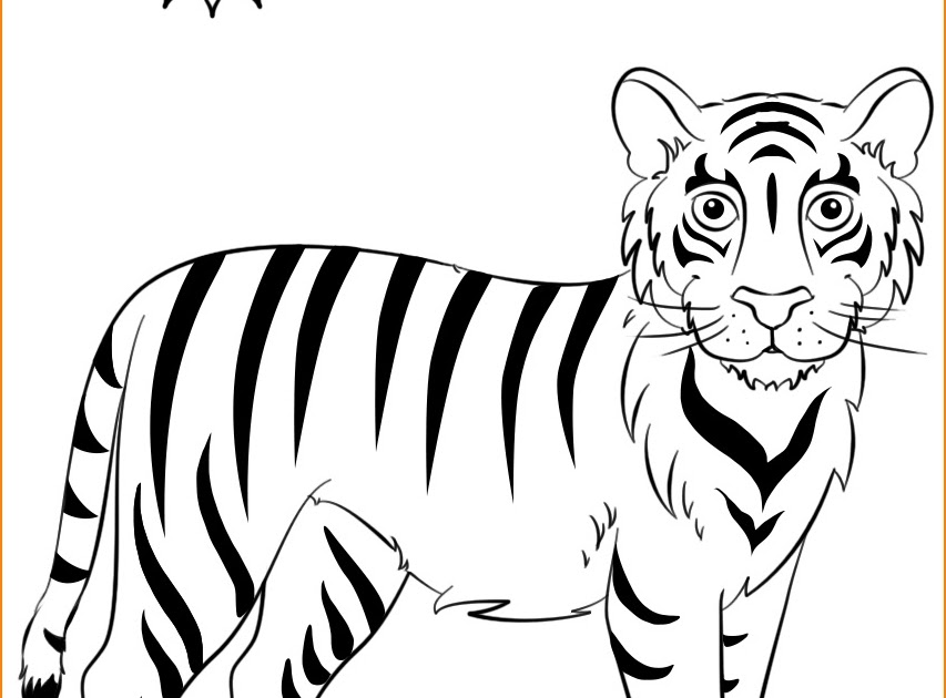 Sketsa Gambar  Harimau Yang  Mudah  Contoh Sketsa Gambar 