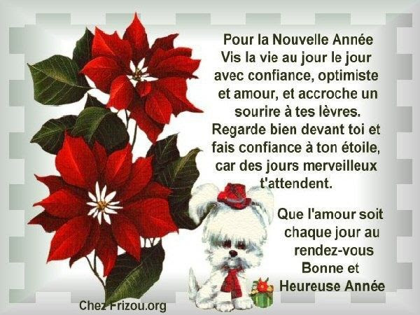 Dromadaire Anniversaire Papa Janean