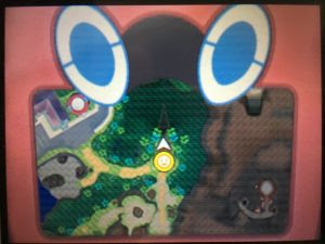トップレート ポケモン サンムーン キュワワー 100 で最高の画像