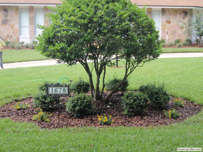 What companies run services between jacksonville, fl, usa and sanford, fl, usa? Land Technologies Sanford Fl Landscape Pavers Service Supplies Commercial Residential