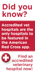 Find an AAHA Accredited Vet