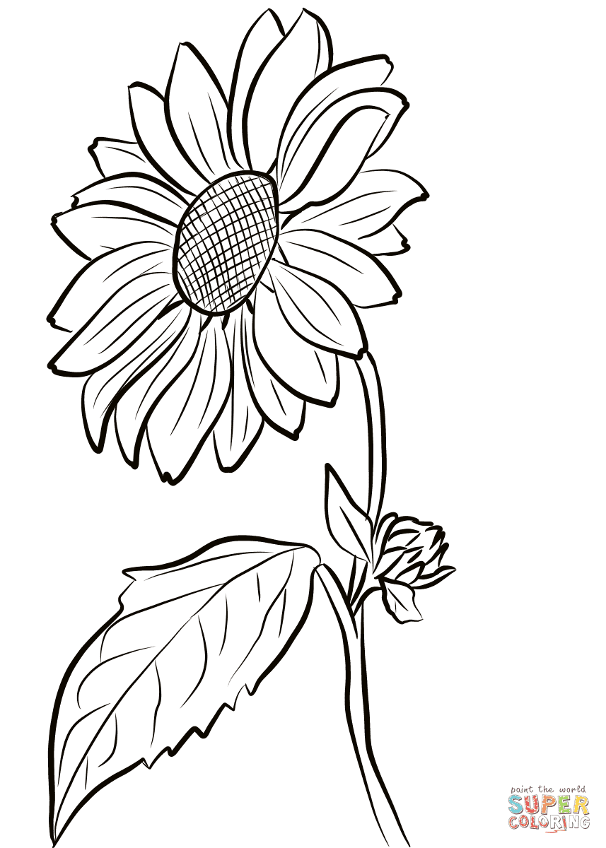 Choose themed garden coloring pages to show types of vegetables or highlight gardening tools. Sunflower Coloring Page Free Printable Coloring Pages