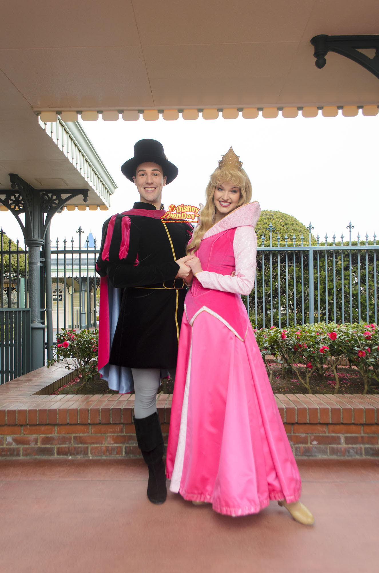 新着フィリップ 王子 ディズニー ディズニー画像のすべて