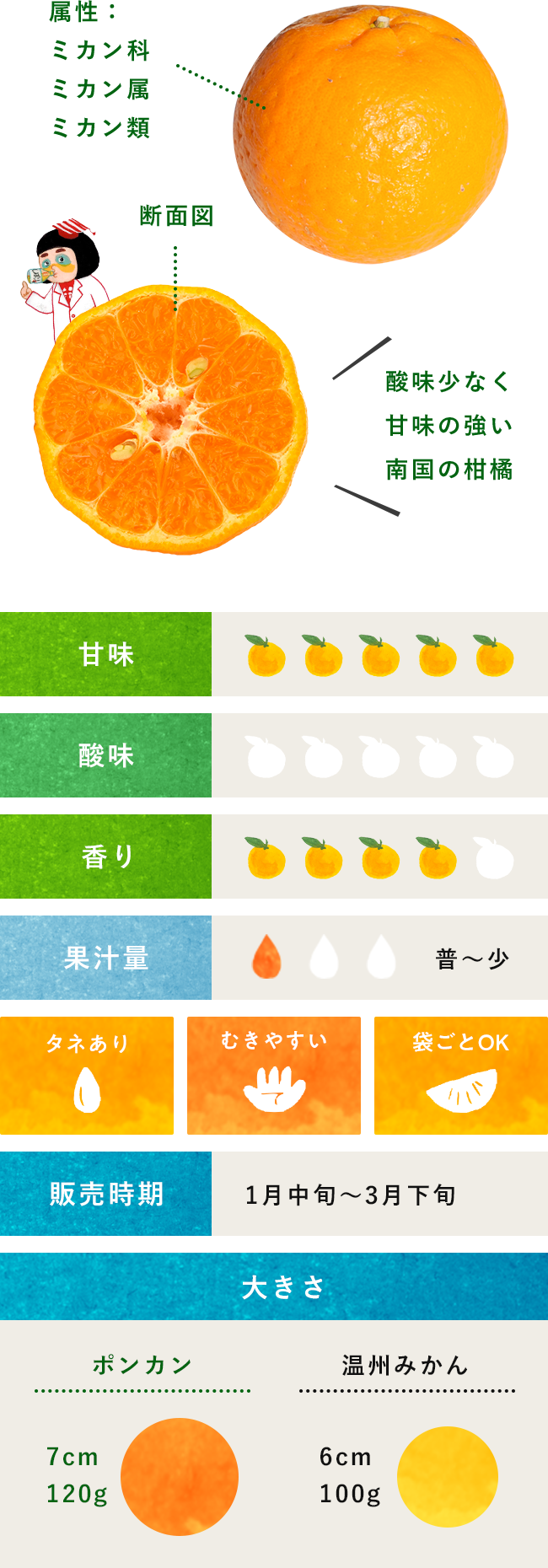 トップ100 柑橘類 図鑑 最高の花の画像