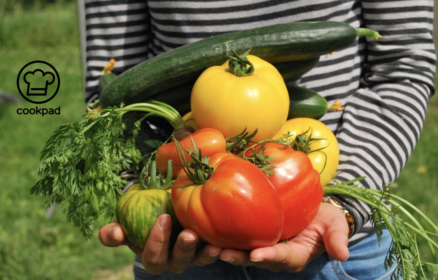 Frutas y hortalizas nacionales