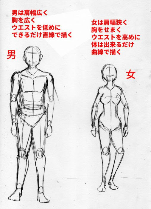 100以上 女の子 肩幅 描き方 女の子 肩幅 描き方