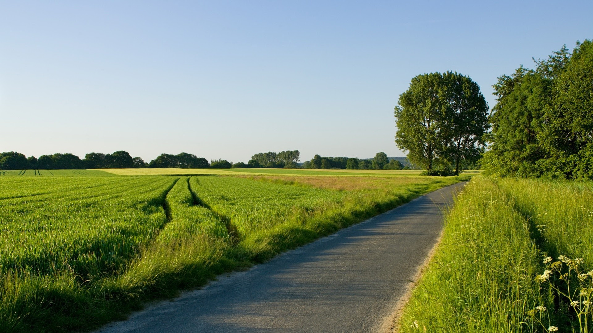 Nature Wallpapers Zip Free Download | HD Wallpaper For Desktop And Gadget