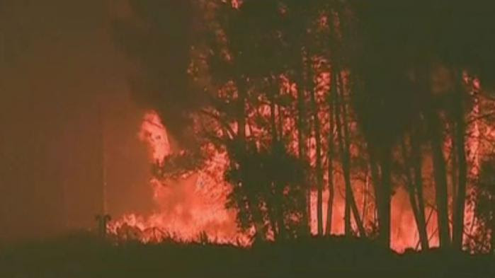 VIDEO. Portugal : "La plus grande tragédie de ces dernières années sur le front des incendies de forêt", déclare le Premier ministre