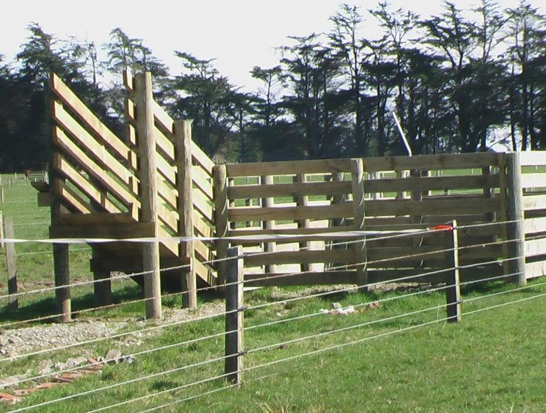 essal: how to build a wood shed nz