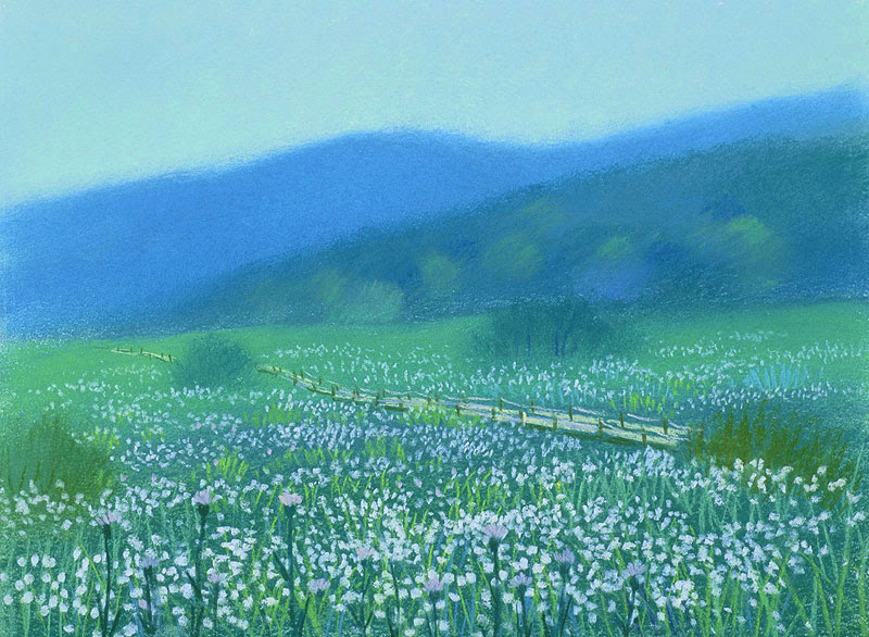最新夏 風景 イラスト 最高の動物画像