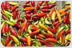 Metabolomic Analysis of Chilli Peppers