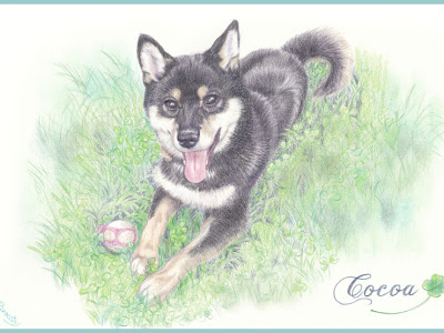 柴犬 イラスト リアル