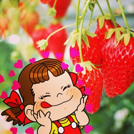 最高プリ 画像 壁紙 ペコ ちゃん 無料イラスト集