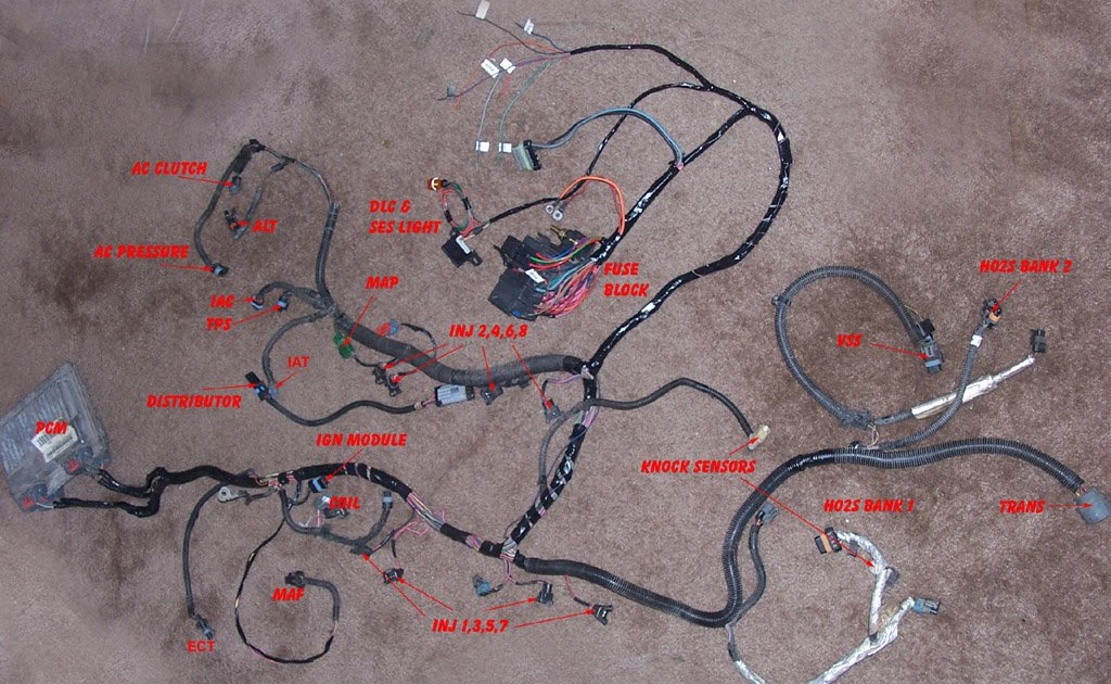 1996 Lt1 Wiring Harnes Camprice - Wiring Diagram Schema