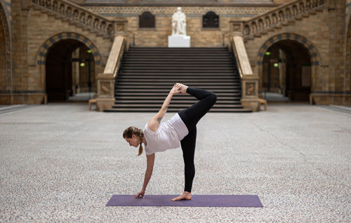 Yoga at the Museum