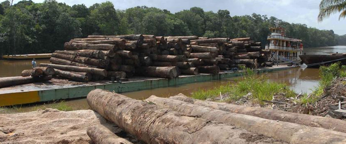 desmatamento_amazonia_wilson_dias_agencia_brasil.jpg