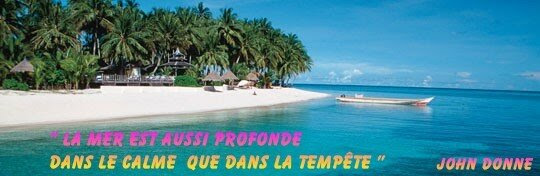 Image De Citation Citation Pour La Plage