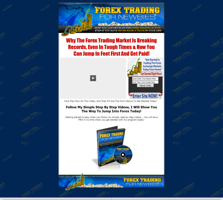 forex pro warrior