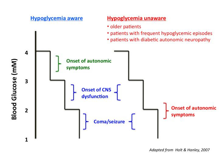 The condition can cause permanent brain damage and is potentially fatal. Hypoglycemia Endocrine Medbullets Step 1