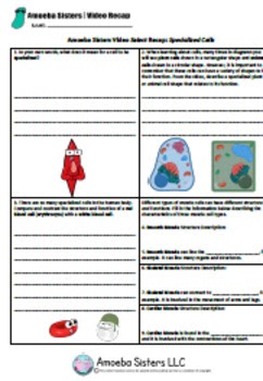 Amoeba Sisters Alleles And Genes Worksheet / Https Cpb Us ...