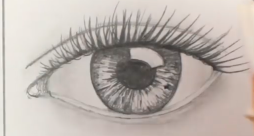Drawing Step By Step Realistic Human Eye Drawing