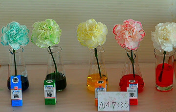 最高のマインクラフト 50 花 染色 インク