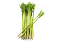 Citronella Oil