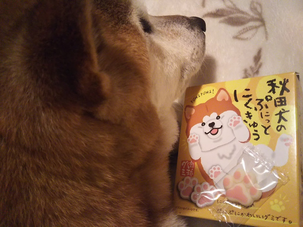 子供向けぬりえ トップ100かわいい 柴犬 可愛い 壁紙 イラスト