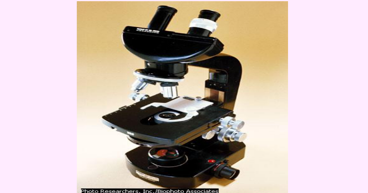  Lensa  Objektif Pada  Mikroskop  Membentuk Bayangan Seputar 