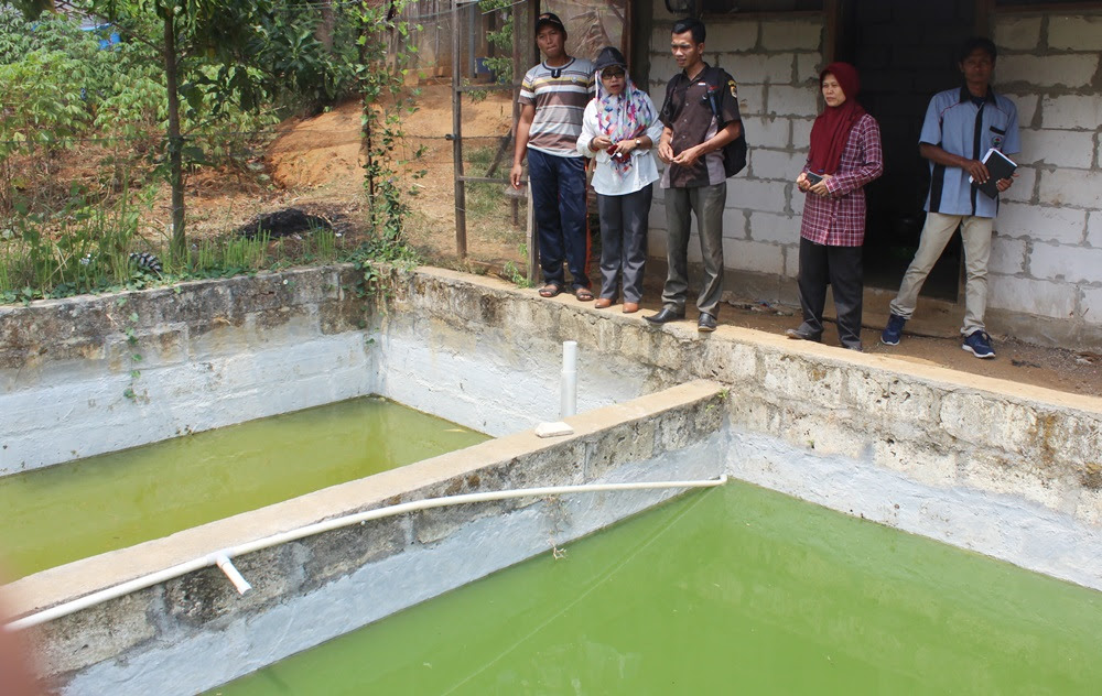 Cara Membuat Kincir Air Untuk Kolam Ikan Membuat Itu