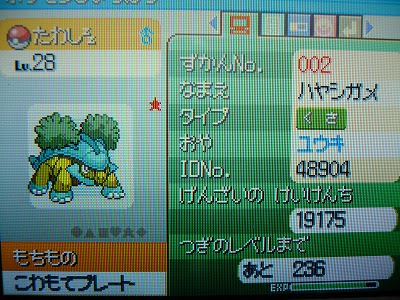 動機 ポケモン プラチナ ドダイトス 100 で最高の画像