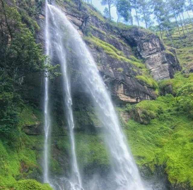 Unsur Kebahasaan Teks Negosiasi Warga Dengan Investor ...