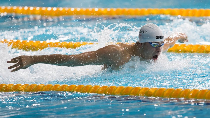 23 hours ago · hosszú katinka, milák kristóf és kenderesi tamás is döntős szerdán több magyar úszó is részt vesz a fináléban a tokiói olimpián. Kenderesi Milak Es Nemeth Is Dontos Jp