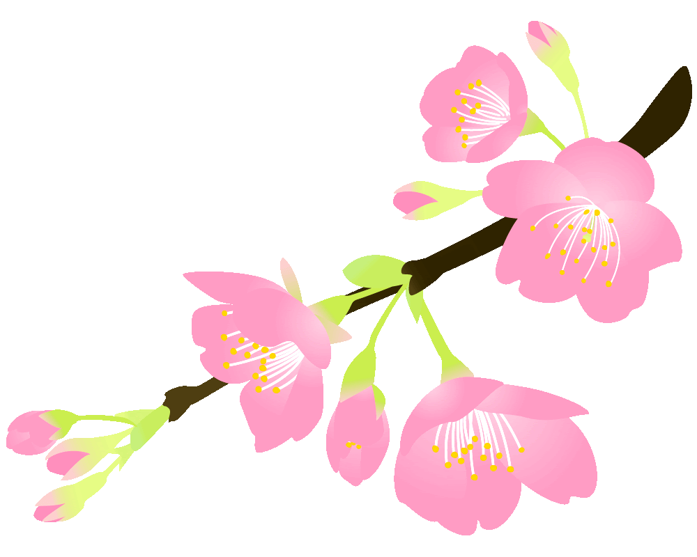 最新桜の 花 4 月 イラスト すべての美しい花の画像