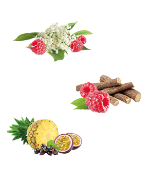 Maybe you would like to learn more about one of these? Vara Produkter Nyttigt Wellness Godis Fran Wellibites