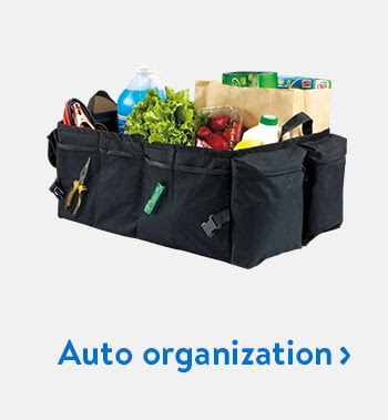 Auto organization to help clean-up your car