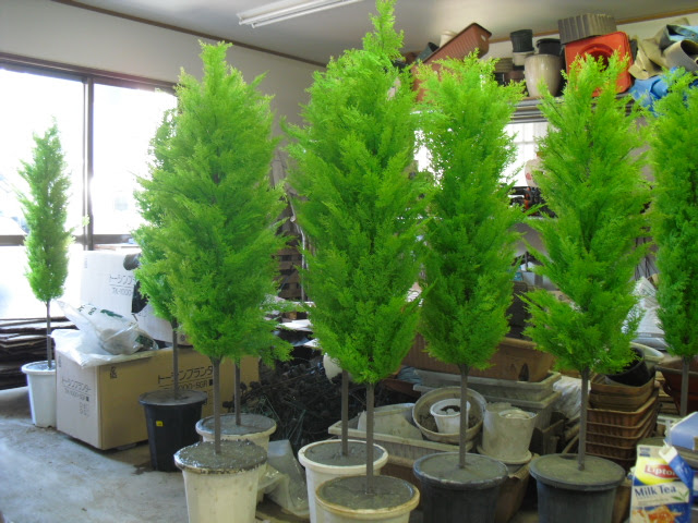 すべての美しい花の画像 トップ100 ベランダ 目隠し 植物 フェイク