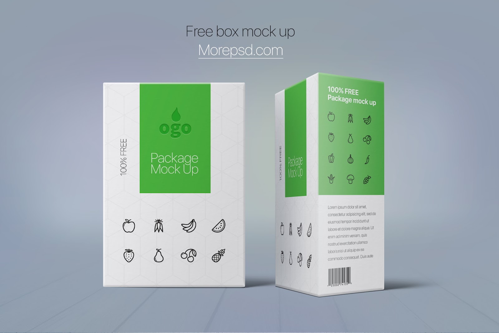 Download 175+ Mask Box Mockup Free Mockups Builder