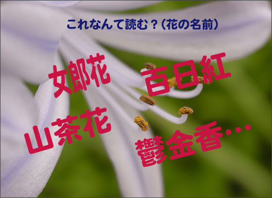 これまでで最高の難しい 漢字 花 すべての美しい花の画像