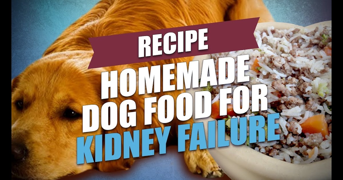 Diabetes Diet For Dogs Homemade Homemade Diabetic Dog Food Diabetic Dog Food Diabetic Diabetes Diet Eating Physical Activity Zepis Gee