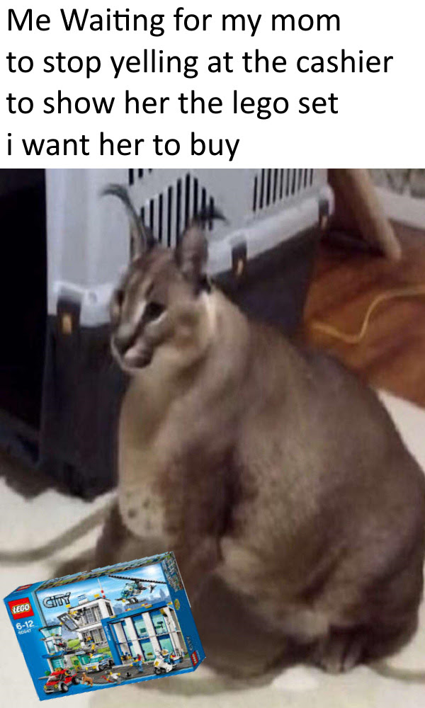 Please like and subscribe, comment any ideas. Floppa Meme By Spanc Memedroid