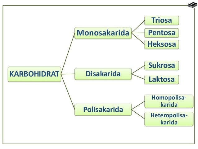 Contoh Difusi Pada Sel - Contoh II