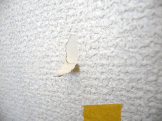 無料印刷可能賃貸 壁紙 剥がれ アニメ画像