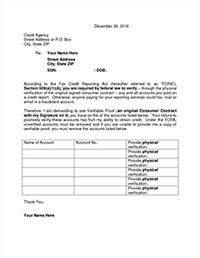 The 609 letter template doesn't state your right to dispute inaccurate information explicitly but it can assert your right to receive a copy of the information contained in your own credit file. Free 609 Credit Verification Letters The Pickled Ginger