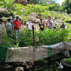 group standing in garden