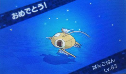 ポケモン サンムーン コイキング 世界漫画の物語