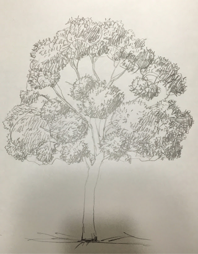 無料ダウンロード鉛筆画 花 描き方 最高の引用