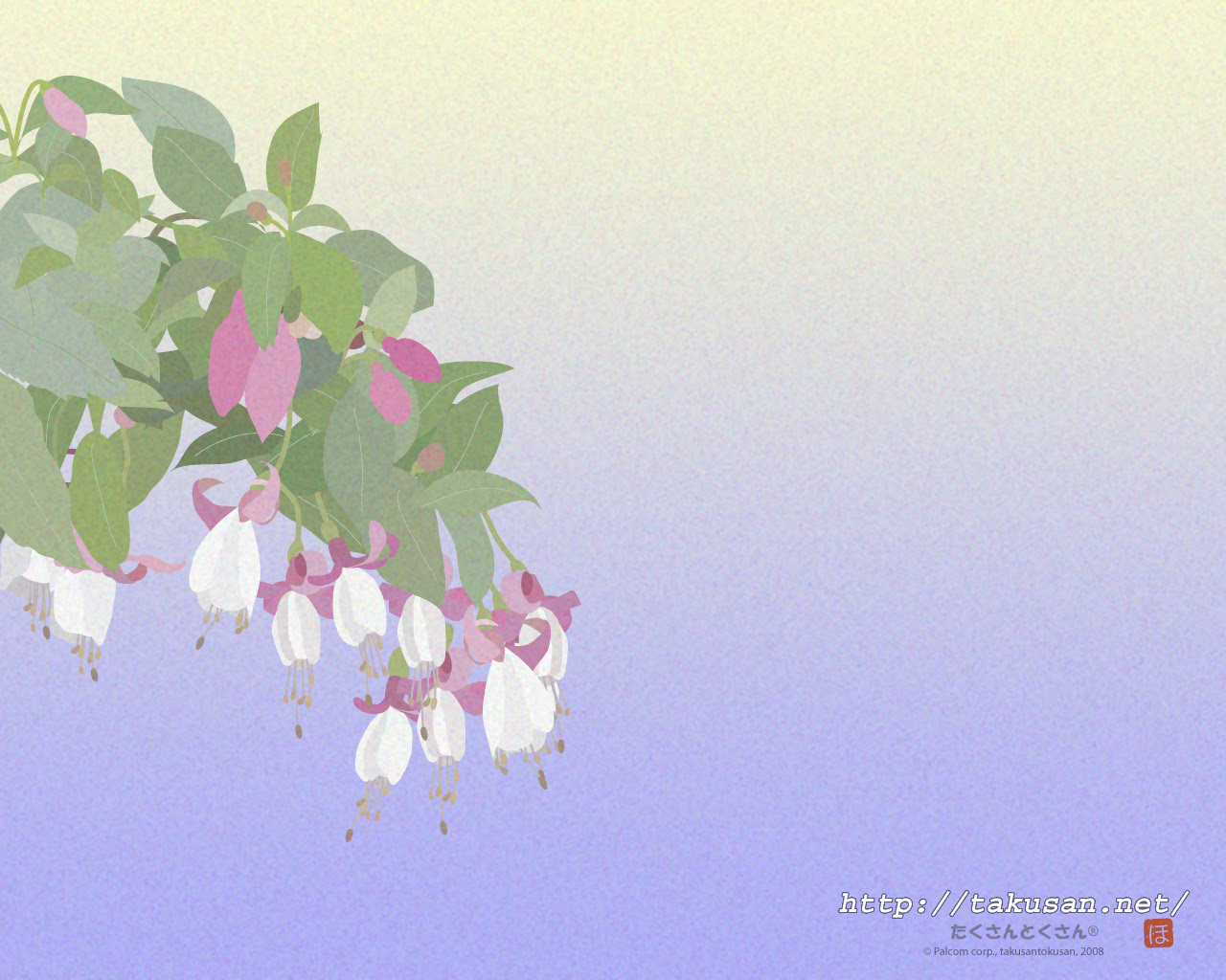 トップ100 フクシア 花 言葉 すべての美しい花の画像