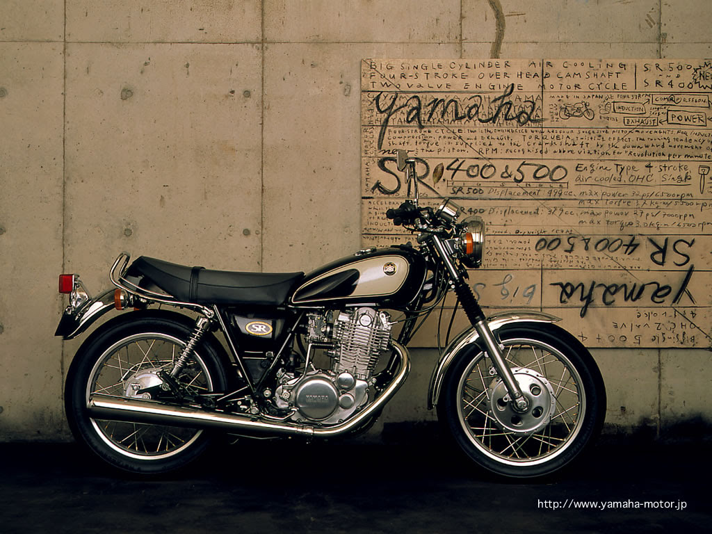 綺麗なsr400 壁紙 最高の花の画像